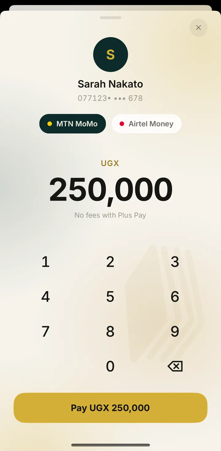 The Plus Pay payment sheet with an amount typed on the keypad